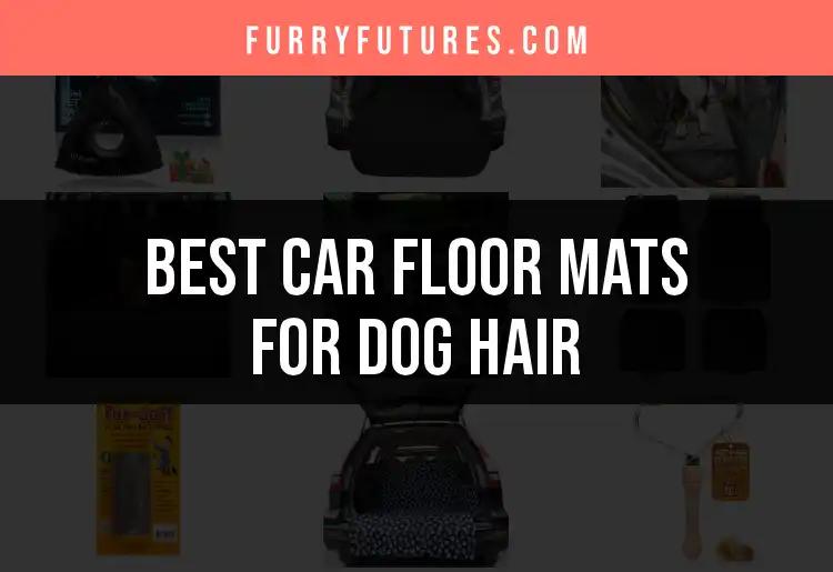 15 Best Car Floor Mats for Dog Hair You've Got to See
