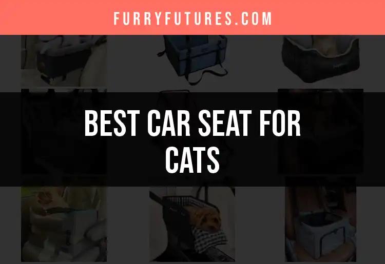 14 Best Car Seats for Cats: Safe and Stylish Travel Choices