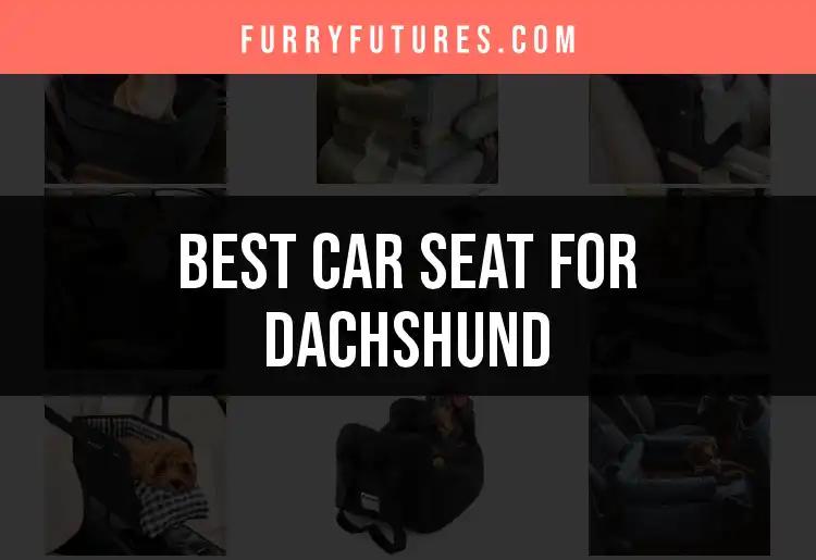 11 Best Car Seats for Your Dachshund's Safety and Comfort