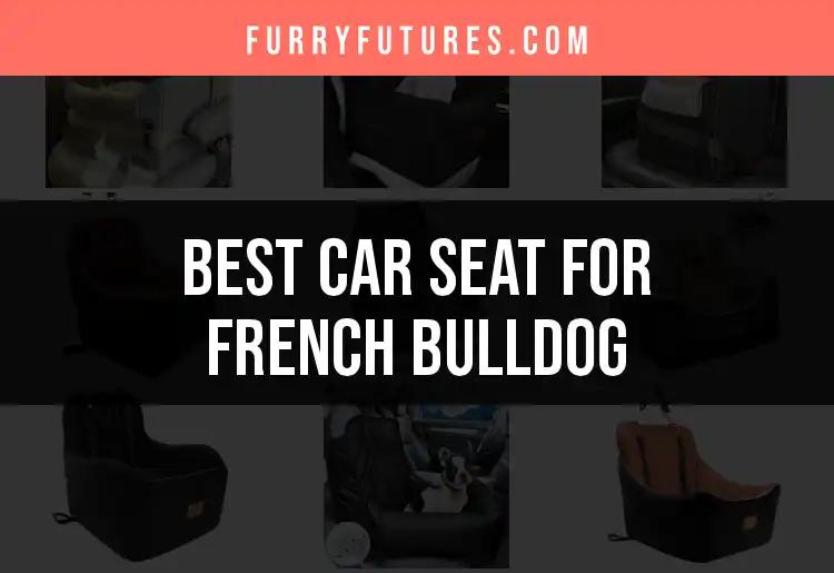 16 Best Car Seats for Your French Bulldog