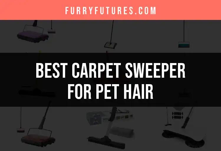 17 Best Carpet Sweepers for Pet Hair You’ll Love
