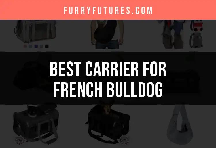 15 Best Carriers for French Bulldogs That Keep It Stylish