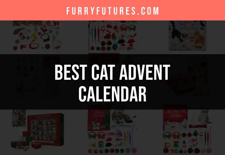 11 Irresistible Cat Advent Calendars for Feline Fun