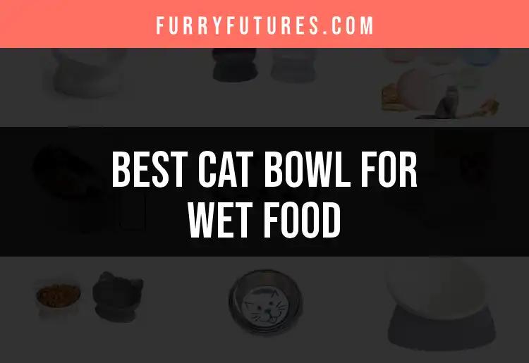 13 Best Cat Bowls for Wet Food to Savor Every Bite
