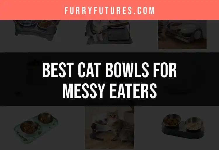 15 Best Cat Bowls for Messy Eaters and Their Tidy Tummies