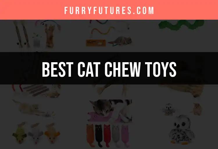 19 Must-Have Cat Chew Toys for Purring Fun