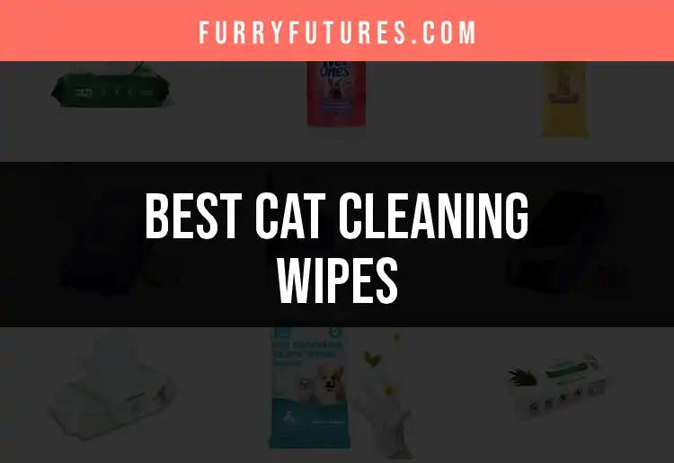 Top 13 Cat Cleaning Wipes for a Spotless Feline Friend