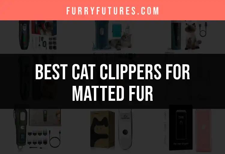 15 Best Cat Clippers for Matted Fur You Can Trust