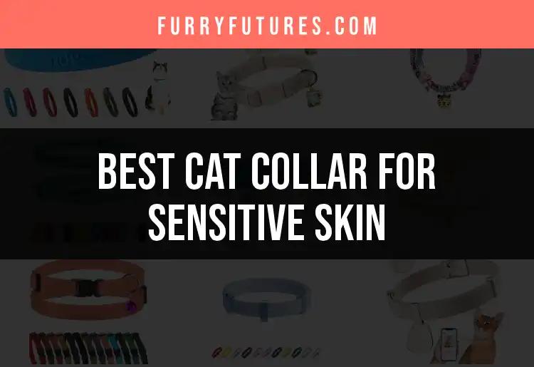 12 Best Cat Collars for Sensitive Skin to Keep Your Feline Happy