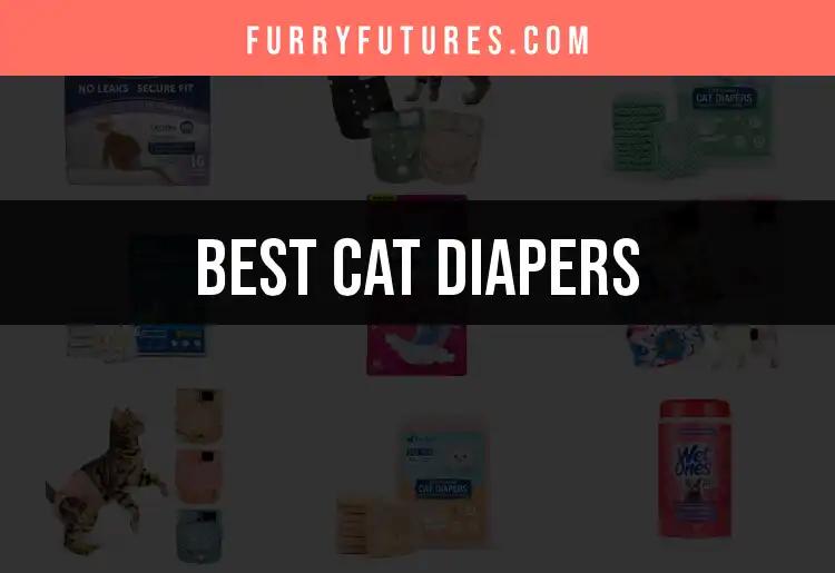 11 Essential Cat Diapers for Your Feline Friend