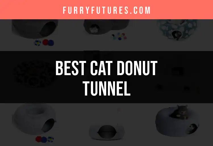 12 Purrfect Cat Donut Tunnels for Happy Kitties