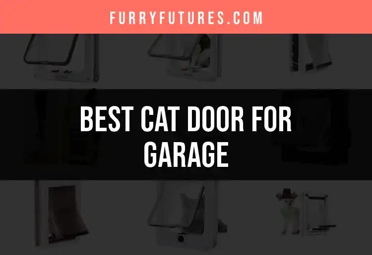 13 Best Cat Doors for Your Garage: Top Picks Revealed