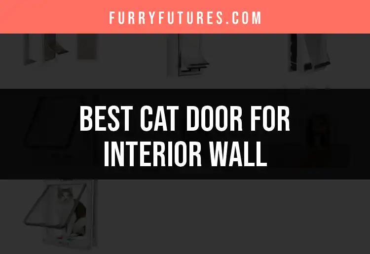 13 Best Cat Doors for Your Interior Wall