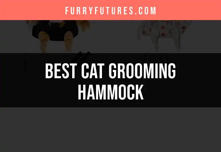 15 Best Cat Grooming Hammocks for Relaxed Grooming Sessions
