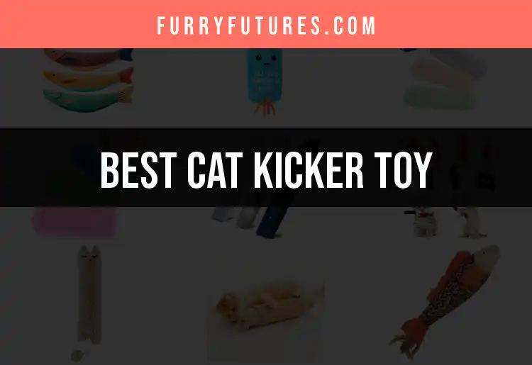 14 Purrfect Cat Kicker Toys for Playful Felines