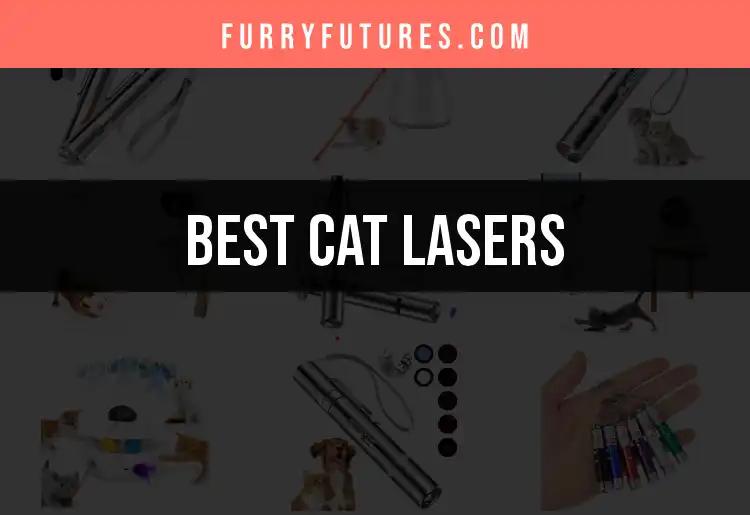 17 Best Cat Lasers for Endless Feline Fun