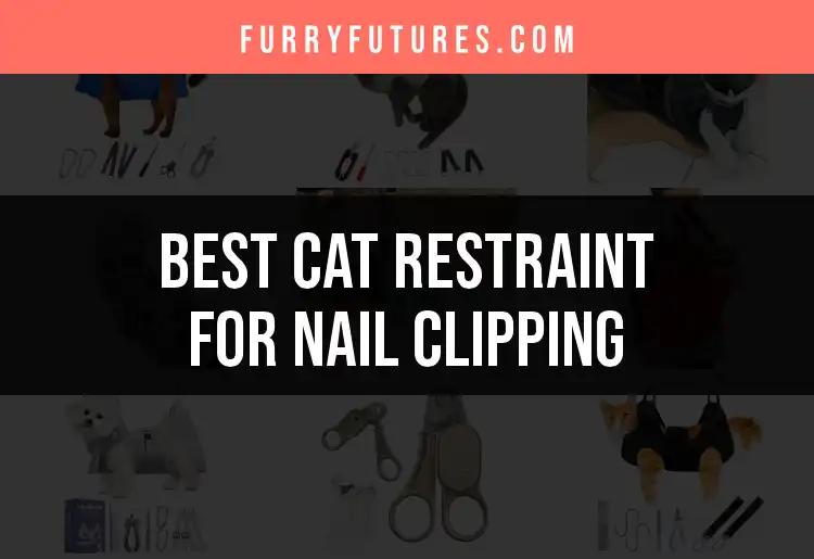 15 Best Cat Restraints for Easy Nail Clipping