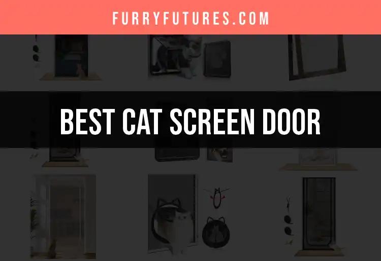 12 Best Cat Screen Doors for Happy Indoor Adventures