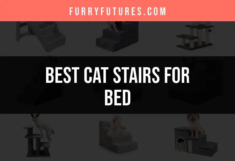 14 Best Cat Stairs for Bed: Easy Access for Your Feline Friend