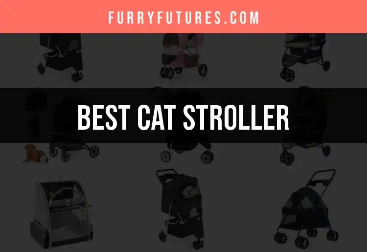 13 Amazing Cat Strollers for Adventurous Felines