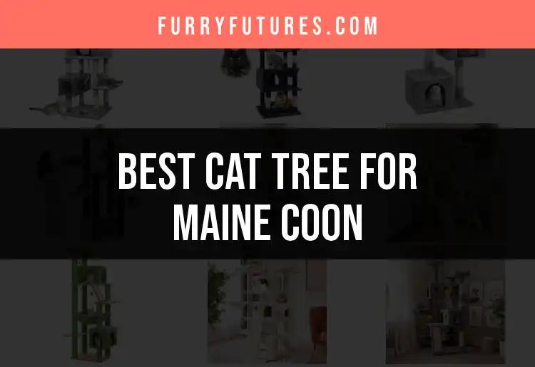 15 Best Cat Trees for Maine Coons to Elevate Playtime