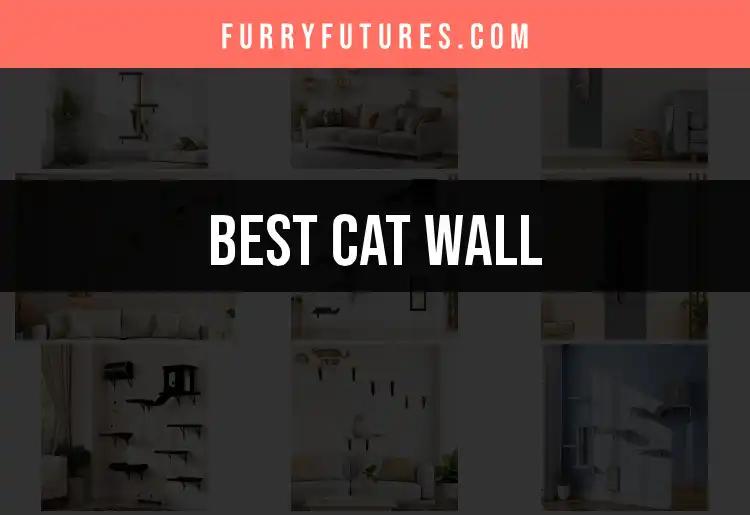 Top 10 Cat Wall Ideas for Happy Feline Adventures