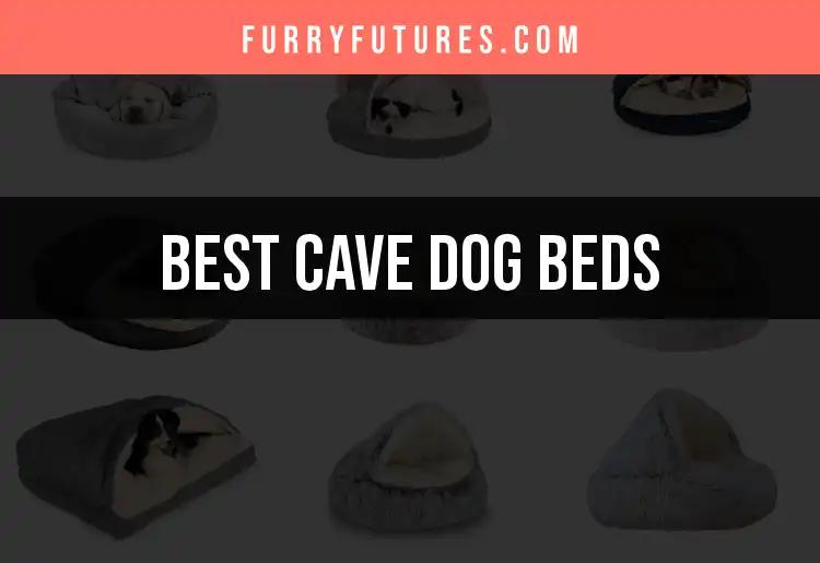 16 Best Cave Dog Beds for Ultimate Comfort