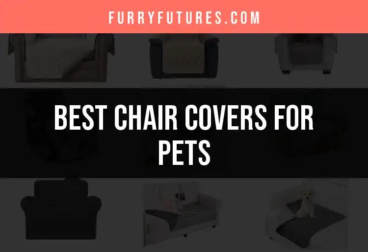 11 Must-Have Chair Covers for Pets You'll Love