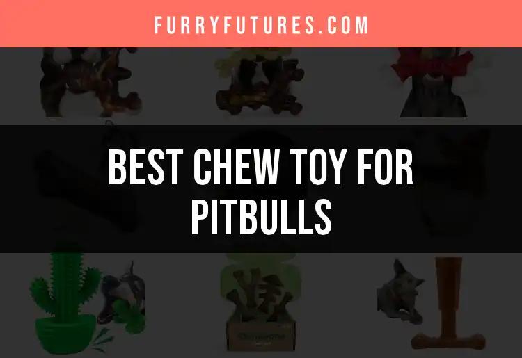 19 Top Chew Toys for Pitbulls: Unleash the Fun