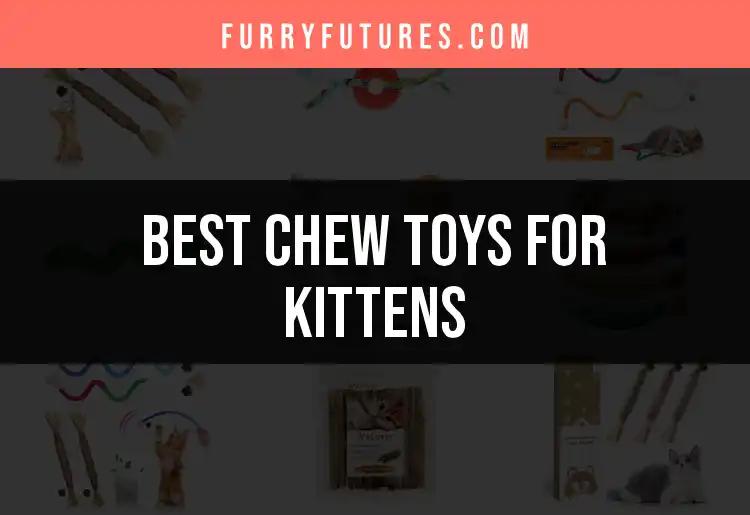 18 Must-Have Chew Toys for Kittens That Spark Joy