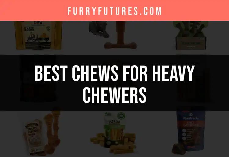 18 Chews for Heavy Chewers That Last
