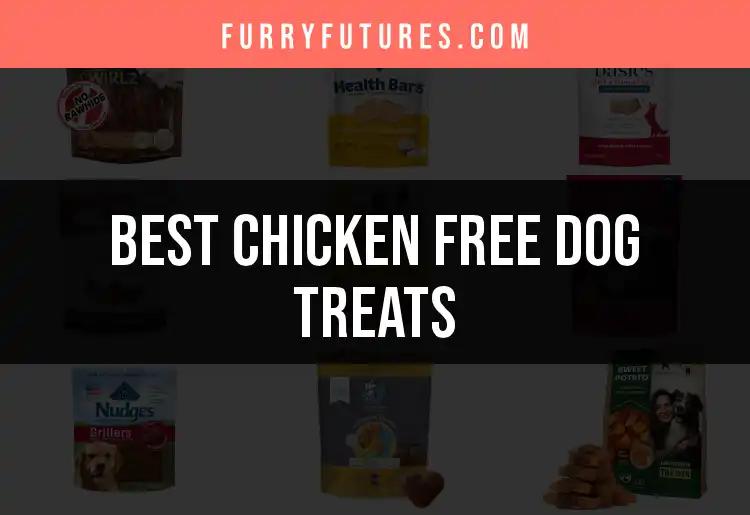 12 Irresistible Chicken Free Dog Treats for Happy Pups