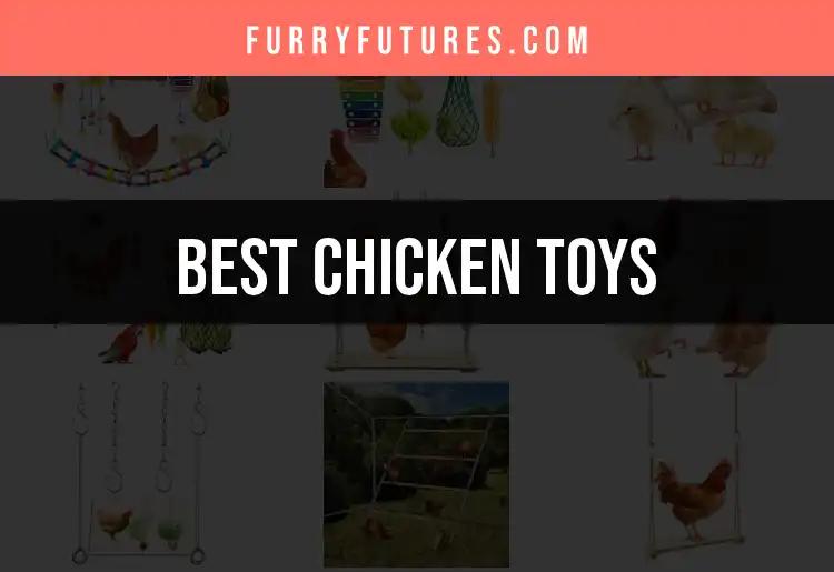 11 Must-Have Chicken Toys for Playful Pets