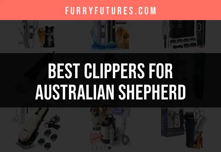 16 Best Clippers for Australian Shepherds: Quick Picks
