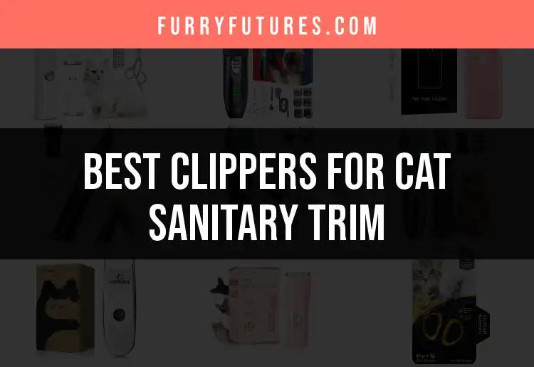18 Best Clippers for Cat Sanitary Trim in 2023