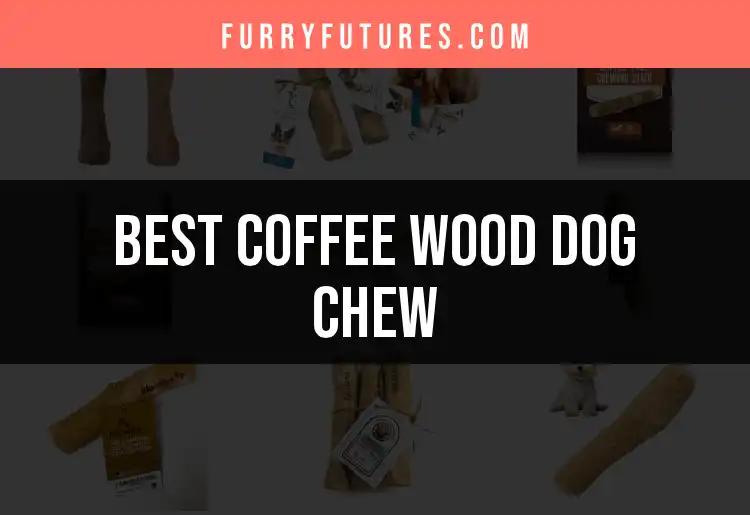 12 Best Coffee Wood Dog Chews for Happy Chewing