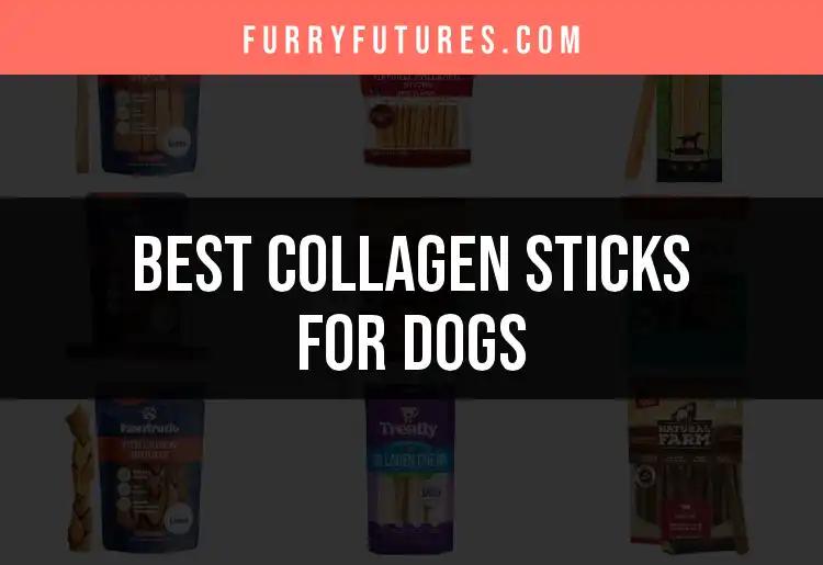 Top 10 Collagen Sticks for Dogs to Chew and Enjoy