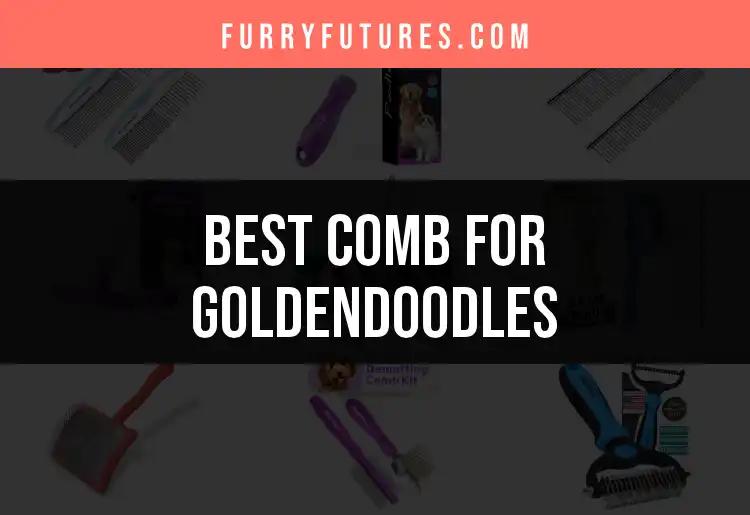 15 Best Combs for Goldendoodles to Tame Their Coats