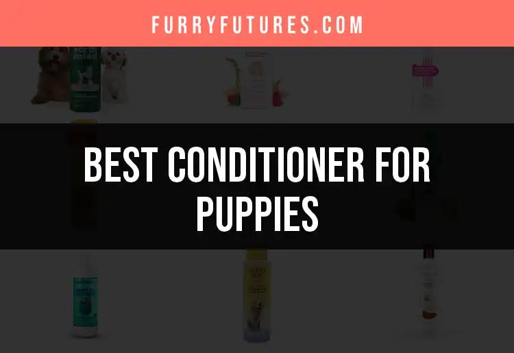 16 Best Conditioners For Puppies: Soft Fur Awaits