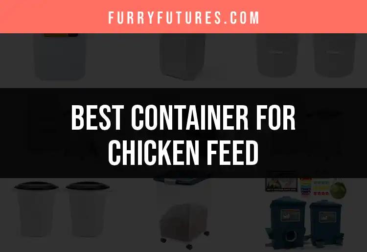 15 Top Containers for Chicken Feed to Keep It Fresh