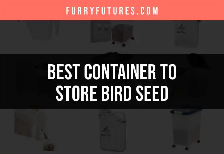 11 Ideal Containers to Store Bird Seed Effectively