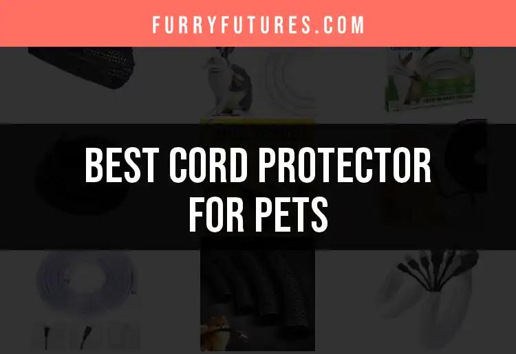 11 Must-Have Cord Protectors for Pets