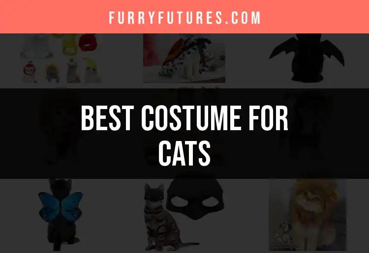 12 Purr-fect Costumes for Cats This Season