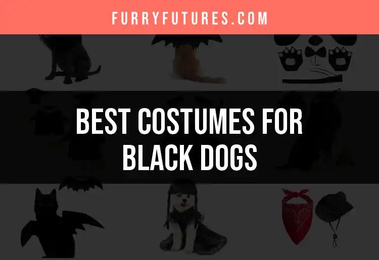 11 Adorable Costumes for Black Dogs You Need to See