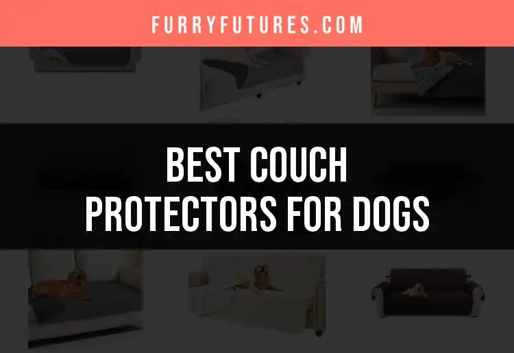 18 Best Couch Protectors for Dogs: Ultimate Comfort Solutions