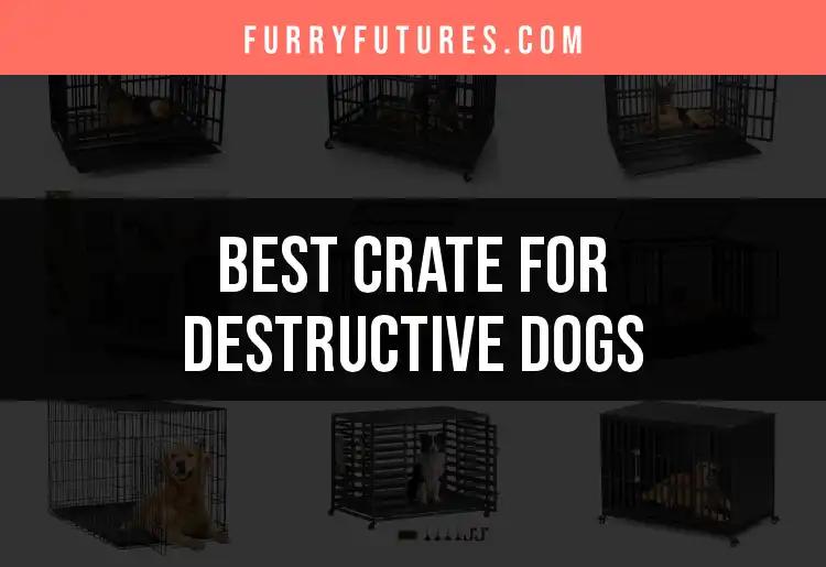 15 Best Crates for Destructive Dogs to Keep Them Safe