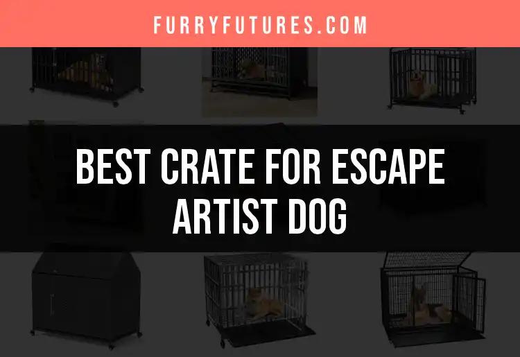 15 Best Crates for Your Escape Artist Dog