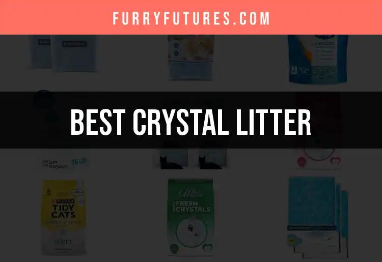 14 Best Crystal Litters for Happy, Healthy Cats