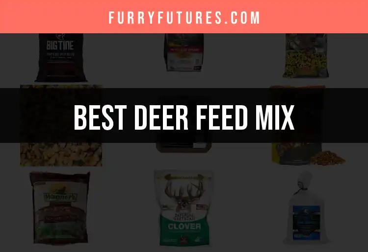 Top 10 Deer Feed Mixes for Optimal Nutrition