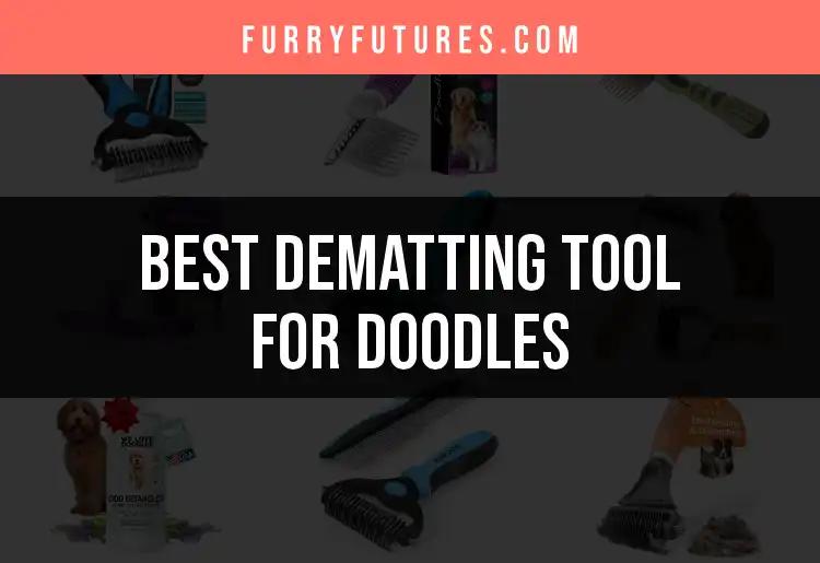 16 Best Dematting Tools for Doodles: Top Picks Reviewed